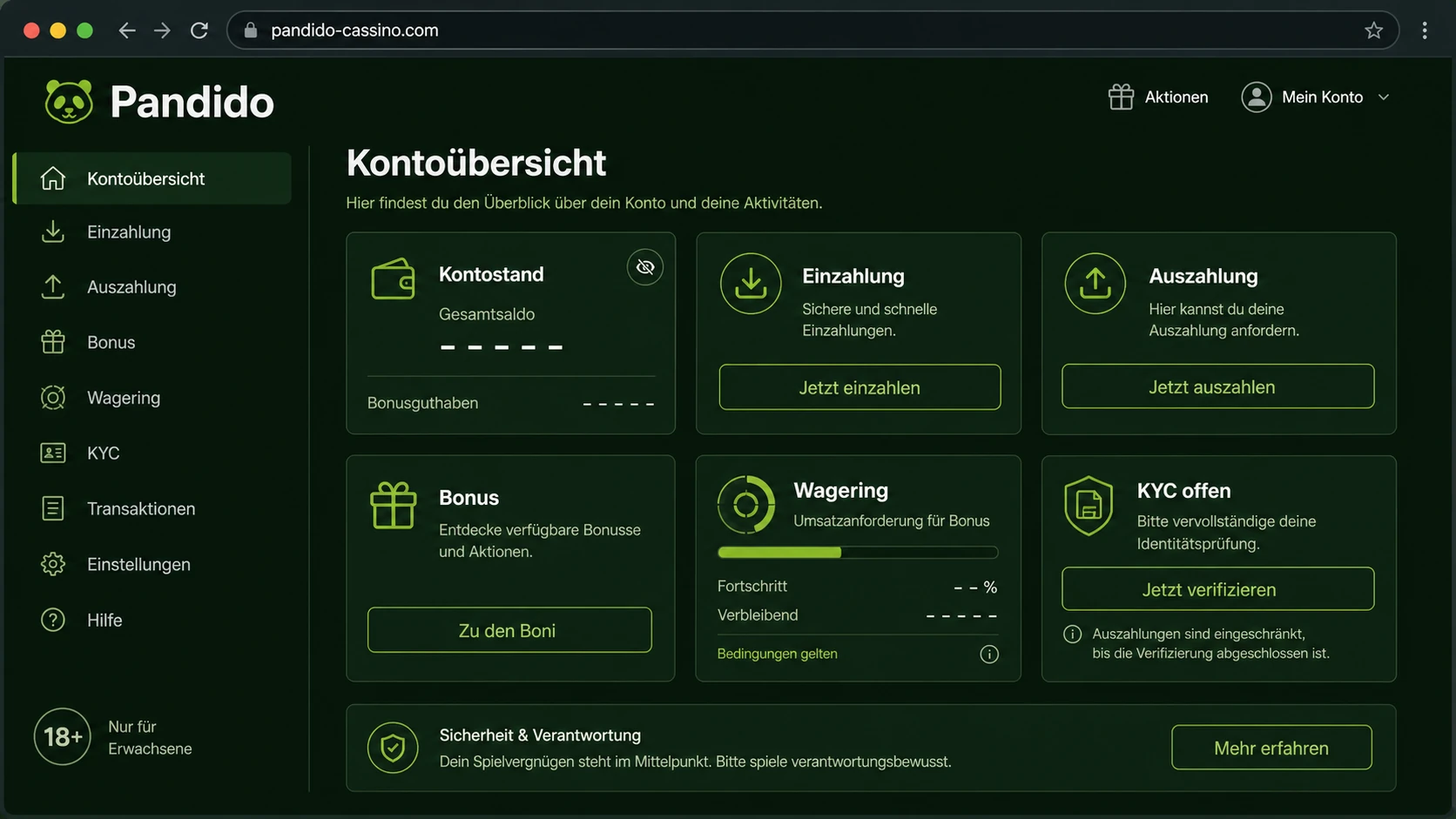 Bonus, Zahlungen und Kontoübersicht